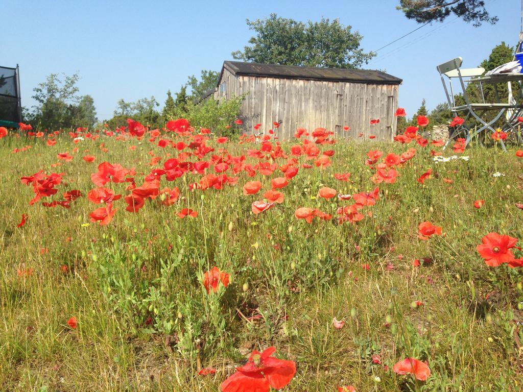 Farogarden Bed & Breakfast Dış mekan fotoğraf